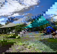 Banksia Green campground - SA Accommodation