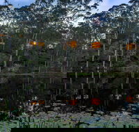 Billabong Retreat - SA Accommodation