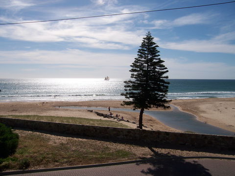 Christies Seahorse - SA Accommodation 1