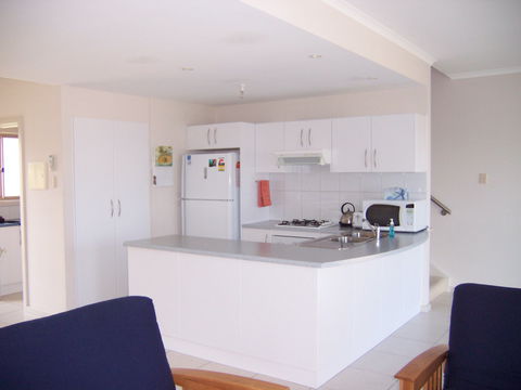 Christies Seahorse - SA Accommodation 2