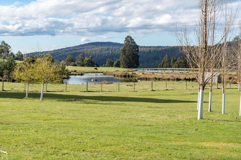 Highland Caravan Park - SA Accommodation 1