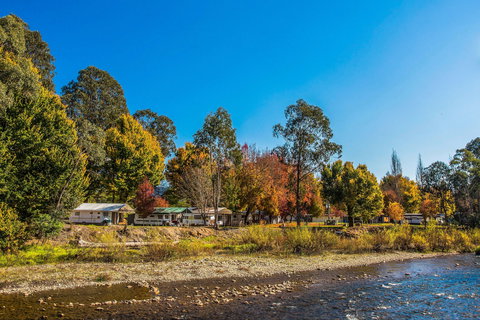 Porepunkah Bridge Holiday Park - SA Accommodation 1