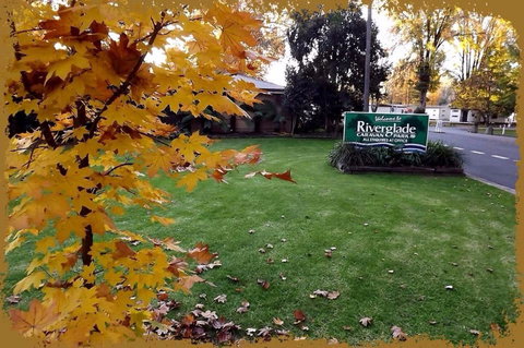 Riverglade Caravan Park - SA Accommodation 0
