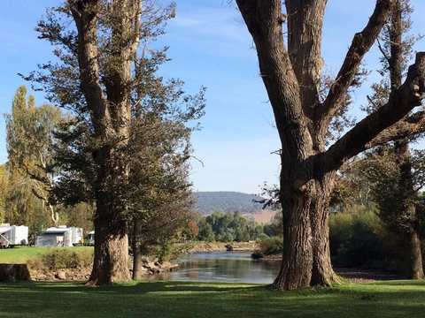 Riverglade Caravan Park - SA Accommodation 2