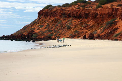 South Gregories Camp At Francois Peron National Park - SA Accommodation 0