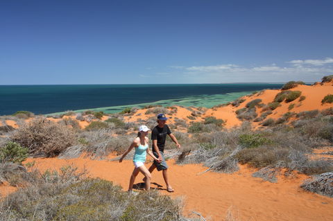 South Gregories Camp At Francois Peron National Park - SA Accommodation 2