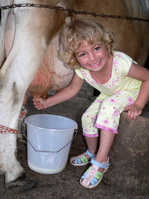 Ashmar Farmstay - SA Accommodation 1