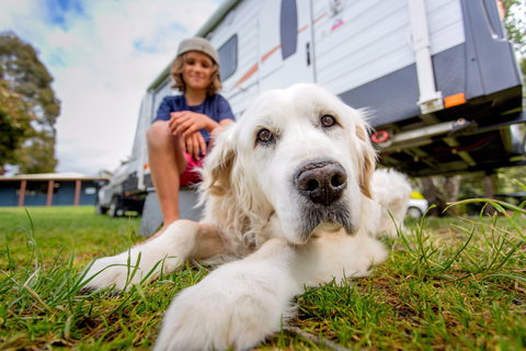 BIG4 St Helens Holiday Park - SA Accommodation 2