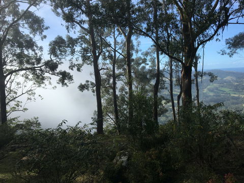 Escarpment - SA Accommodation 2