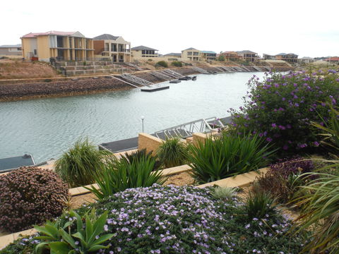 Happy Gilmore - SA Accommodation 0