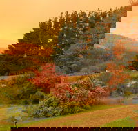 Red Rooster Host Farm - SA Accommodation