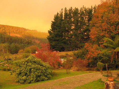 Red Rooster Host Farm - SA Accommodation 0