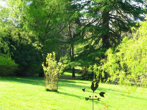 Red Rooster Host Farm - SA Accommodation 2