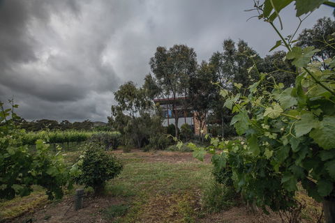 Sellicks Chills - Vineyard Retreats - SA Accommodation 2