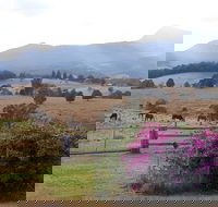 The Barn  House Farm Stay at Possum Manor - SA Accommodation