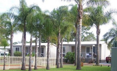 Treehaven Tourist Park - SA Accommodation 3