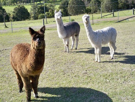 Sunrise Bed & Breakfast - SA Accommodation 5