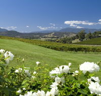 Balgownie Estate Vineyard Resort and Spa - SA Accommodation