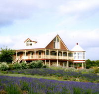 Serendipity Lavender Farm - SA Accommodation