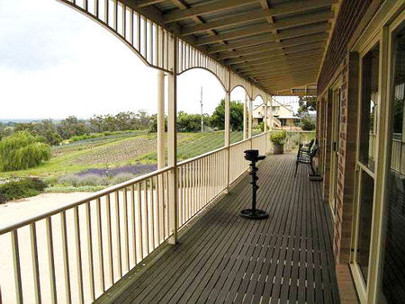 Serendipity Lavender Farm - SA Accommodation 2