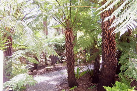 Glenview Retreat - SA Accommodation 2