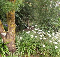 Springbank Bed and Breakfast - SA Accommodation