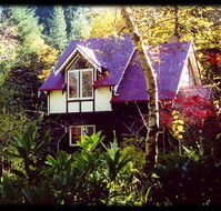 Forest Glade Olinda - SA Accommodation