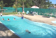Lakes Entrance Tourist Park - SA Accommodation 4