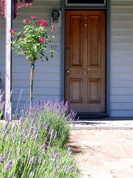 Airleigh - Rose Cottage - SA Accommodation 2