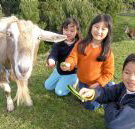 Johanna River Farm and Cottages - SA Accommodation