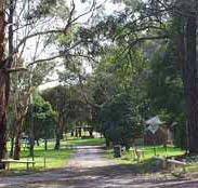 Moe Gardens Caravan Park - SA Accommodation