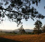 Cann River Rainforest Caravan Park - SA Accommodation