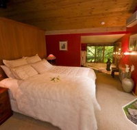 Linden Gardens Rainforest Retreat - SA Accommodation