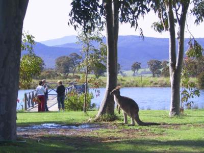 Wombat Hills Cottages - SA Accommodation 4