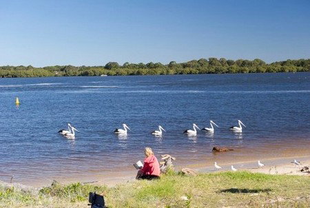 Ballina Central Holiday Park - SA Accommodation 2