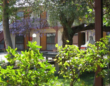 Central Motor Inn Wentworth - SA Accommodation 2