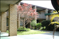 Amg Ryde Sydney - SA Accommodation 0