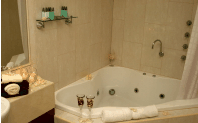 Club Motor Inn - SA Accommodation 1