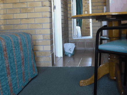 Dragon  Phoenix Motel - SA Accommodation