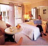 Sydney Palm Court Motor Inn - SA Accommodation