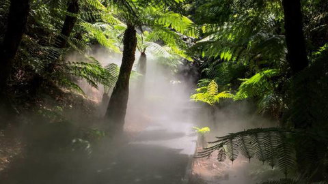 Australian National Botanic Gardens - SA Accommodation 4