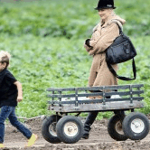 Perth City Farm Organic Markets - SA Accommodation