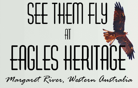 Eagles Heritage Raptor Wildlife Centre - SA Accommodation 0