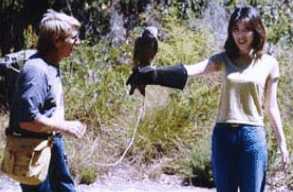 Eagles Heritage Raptor Wildlife Centre - SA Accommodation 2