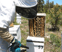 Herne Hill WA SA Accommodation