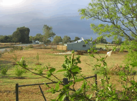 The House Of Honey - SA Accommodation 2