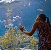 The Aquarium of Western Australia - SA Accommodation