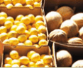 Brisbane Markets - SA Accommodation