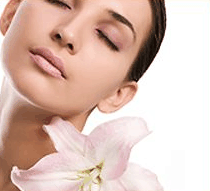 Stephanies Spa Retreat - SA Accommodation