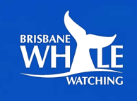 Brisbane Whale Watching - SA Accommodation 3